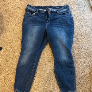 Judy Blue Dark Blue Skinny Jeans